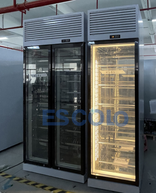 Professional Wine Storage Cooler with Precise Temperature & Humidity Control
