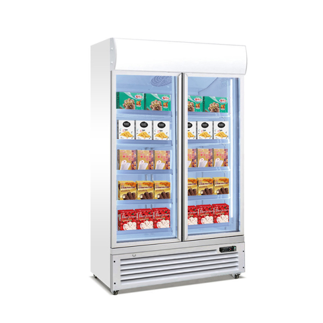 Display Fridge for Shop with Smart Refrigerators Technology for Commercial Freezing