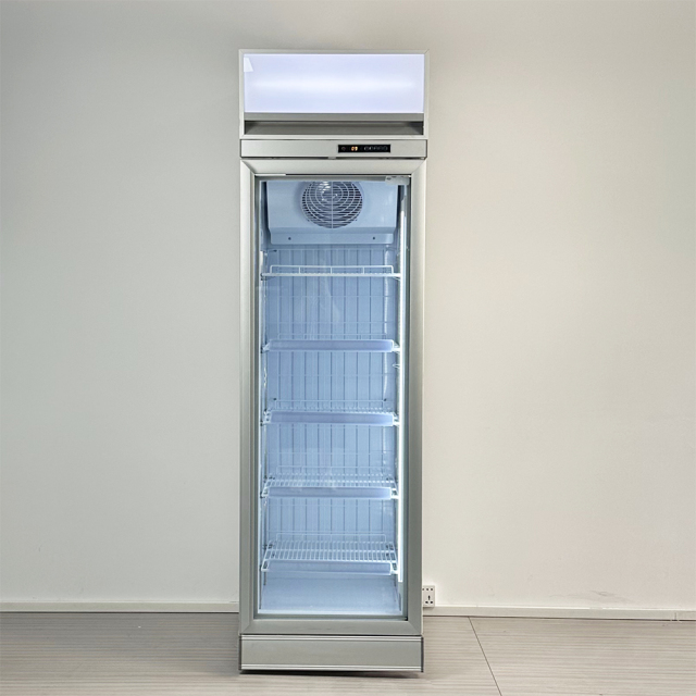 500L Upright Glass Door Freezer for Retail Display Cooling