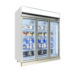 Advanced Freezer Upright with R290 Refrigerant and Temperature Range Control for Train Station Kiosk