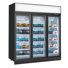 Advanced Freezer Upright with R290 Refrigerant and Temperature Range Control for Train Station Kiosk