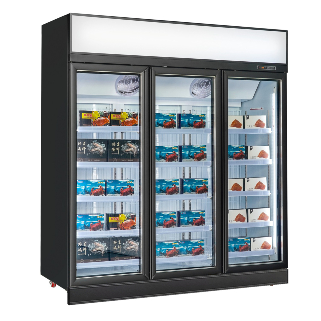 Advanced Freezer Upright with R290 Refrigerant and Temperature Range Control for Train Station Kiosk