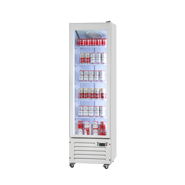 Commercial Beverage Cooler Fridge – Single Door Glass Front Display for Retail Use