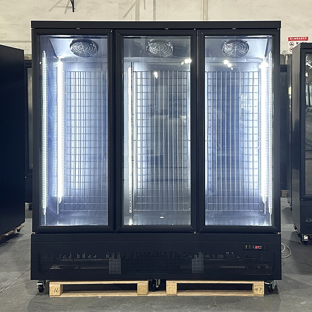Upright Display Refrigerator for Convenience Store Beverage Merchandising