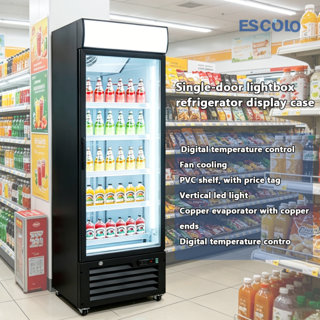 Single Door Retail Display Refrigerator for Beverage Merchandising