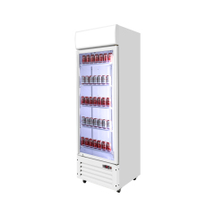 Glass Door Beverage Display Fridge – Upright Retail Drink Cooler for Commercial Merchandising
