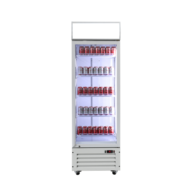 Glass Door Beverage Display Fridge – Upright Retail Drink Cooler for Commercial Merchandising