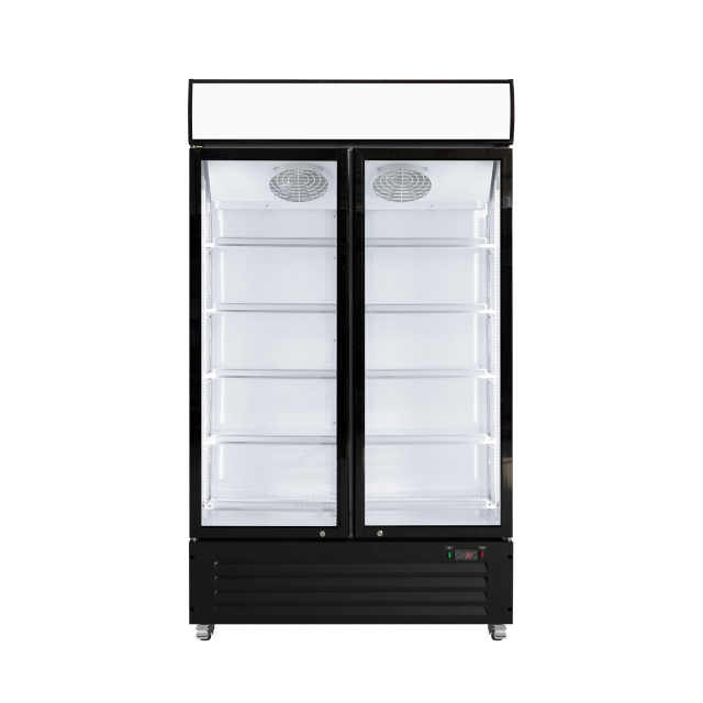 Supermarket glass door display freezer designed as a commercial upright freezer for frozen food merchandising