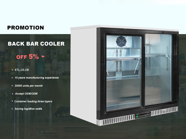 Embossed Cabinet Mini Bar Fridge Double Door Donper Compressor for Beach Bar