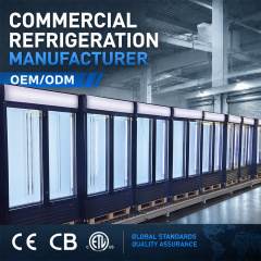 Retail Beverage Showcase Cooler 1400L for Gas Station & Convenience Store Merchandising