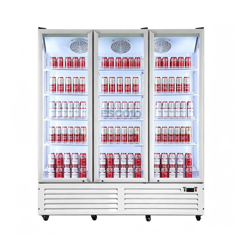 Double Door Economic 750L Display Chiller with Stylish Outlook