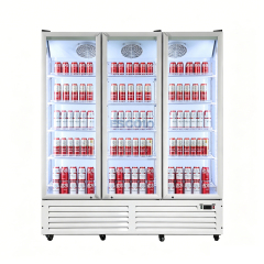 Double Door Economic 750L Display Chiller with Stylish Outlook