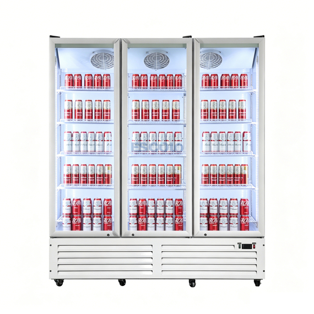 Double Door Economic 750L Display Chiller with Stylish Outlook