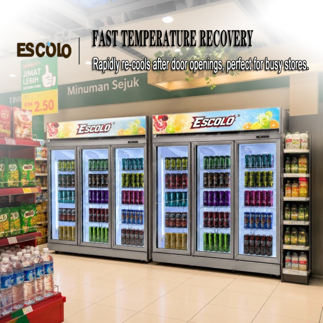 High-Capacity Two-Door Display Fridge for Retail and Supermarkets