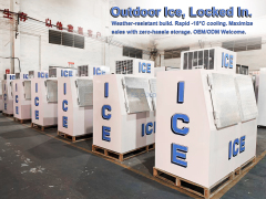 Double Solid Door Ice Storage Freezer | Large Capacity Commercial Ice Storage Cabinet