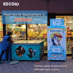 Commercial Ice Storage Freezer with Cold wall / Fan cooling system optional