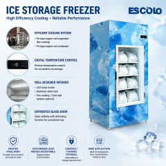 Upright Ice Storage Bin for Retail Shops with LED Lighting and Flexible Cooling