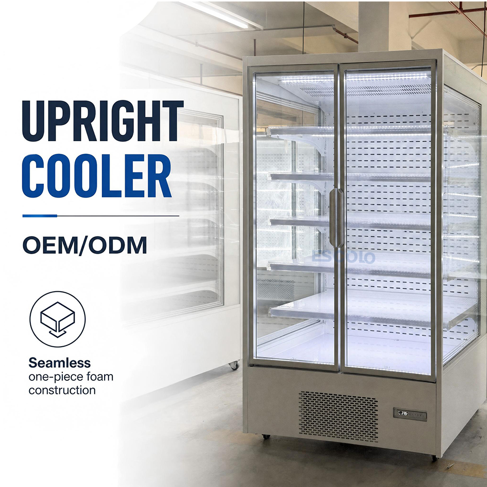 2 Door Commercial Chiller with Frameless Glass Doors for Supermarkets & Grocery Stores