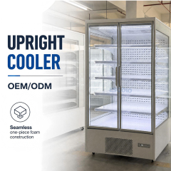 2 Door Commercial Chiller with Frameless Glass Doors for Supermarkets & Grocery Stores