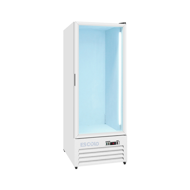 Commercial Ice Freezer Box with Glass Door for Convenience Store and Supermarket Bagged Ice Storage