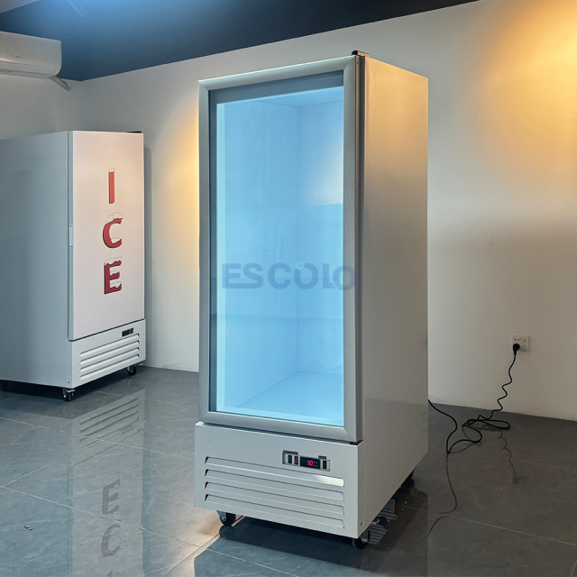 Commercial Ice Freezer Box with Glass Door for Convenience Store and Supermarket Bagged Ice Storage