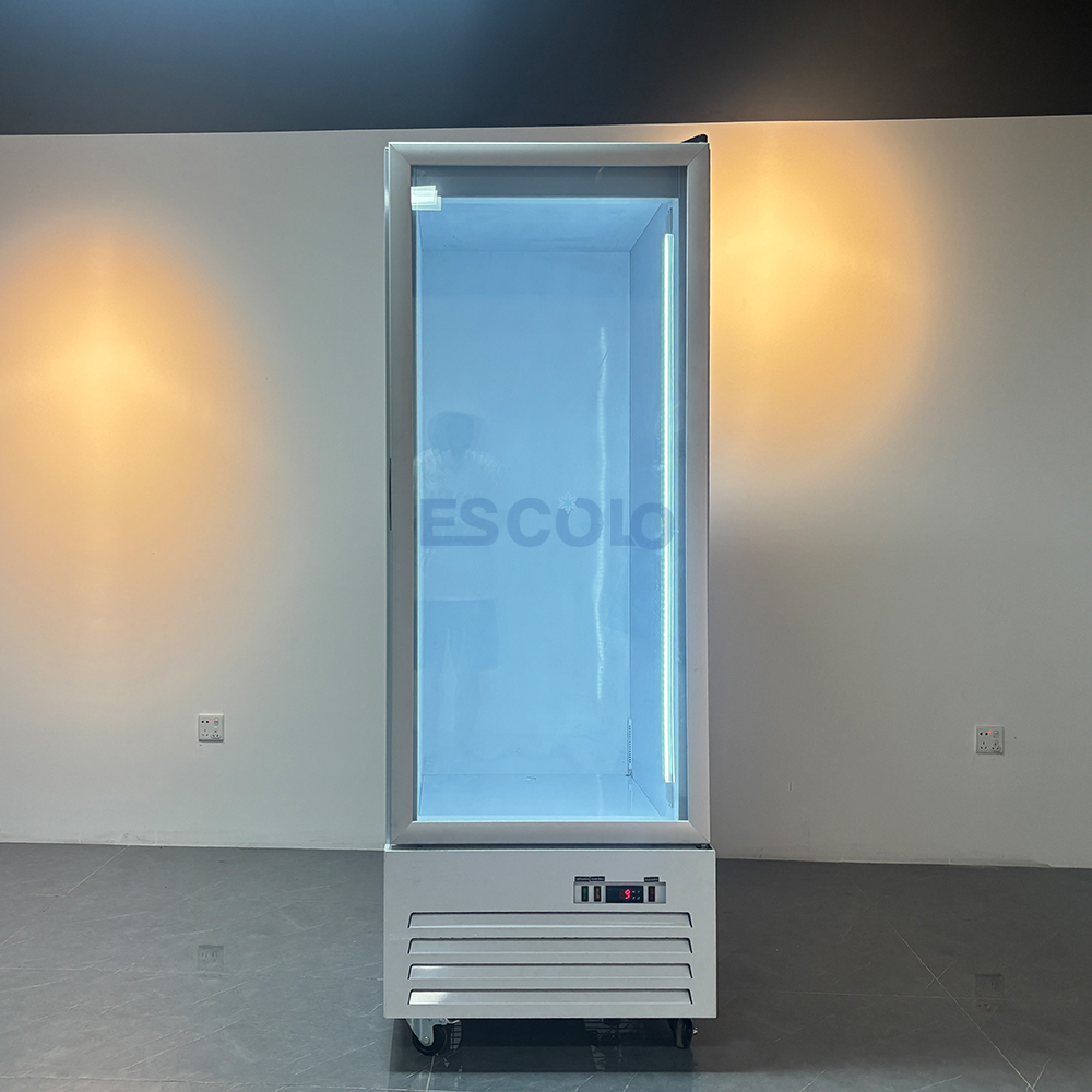 Commercial Ice Freezer Box with Glass Door for Convenience Store and Supermarket Bagged Ice Storage