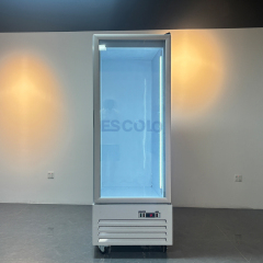 Commercial Ice Freezer Box with Glass Door for Convenience Store and Supermarket Bagged Ice Storage