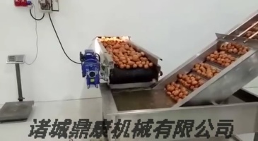 Potato chip and French fries processing production line