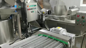 Large fully automatic deep fryer for potato chip merchants