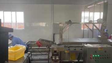 Electric Heating Frying Line  Potato chip frying production line