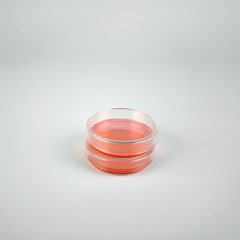 AMNGENT Petri Dishes,60mm 90mm 150mm Petri Cell Tissue Culture Dishes