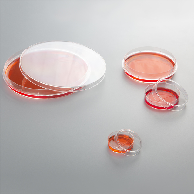 AMNGENT Cell Culture Dishes