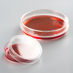 AMNGENT Cell Culture Dishes