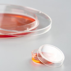 AMNGENT Cell Culture Dishes