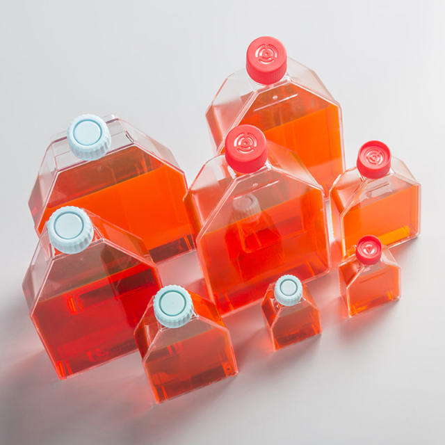 Cell Culture Flasks
