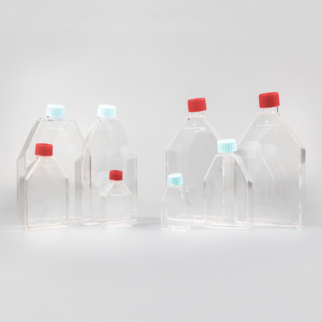 Cell Culture Flasks