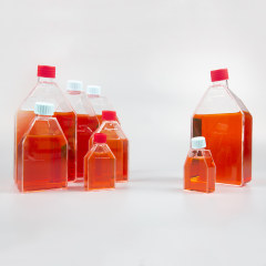 Cell Culture Flasks