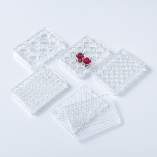 Cell Culture Plates