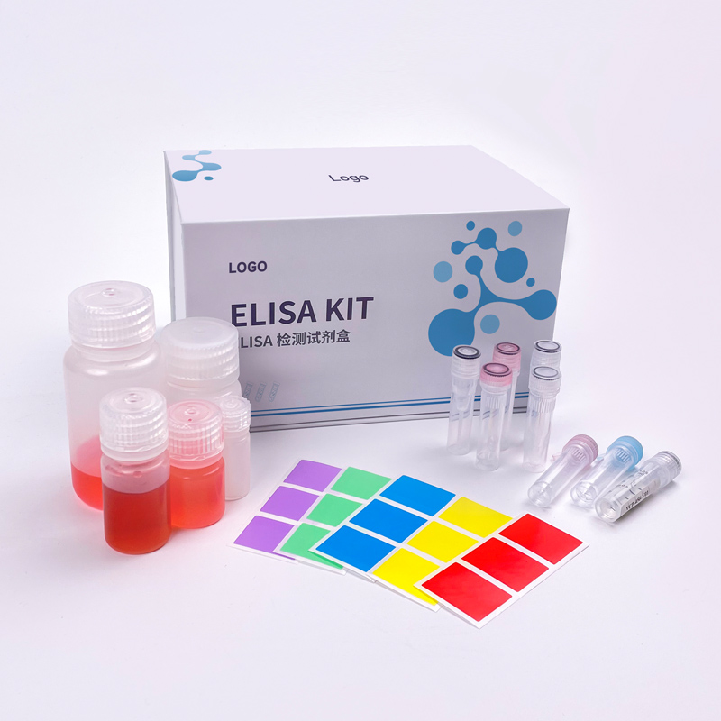Customized Kit Packaging solutions