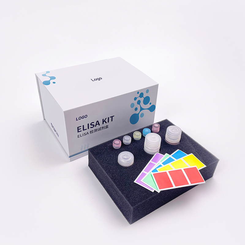 Customized Kit Packaging solutions