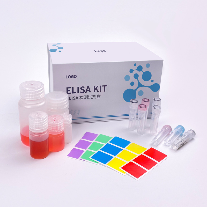 Customized Kit Packaging solutions