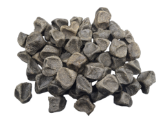 Eco-friendly Organic Washing Stone