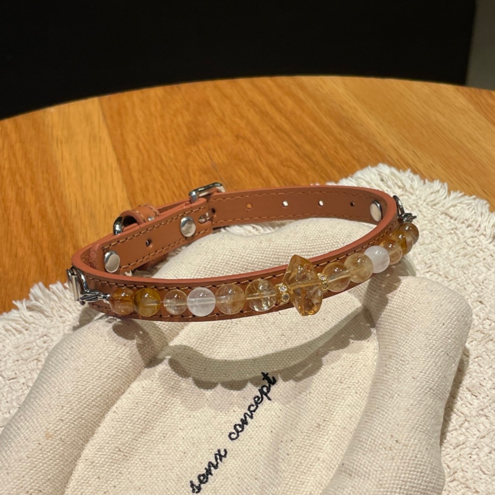 Golden Fortune Gem Pet Choker