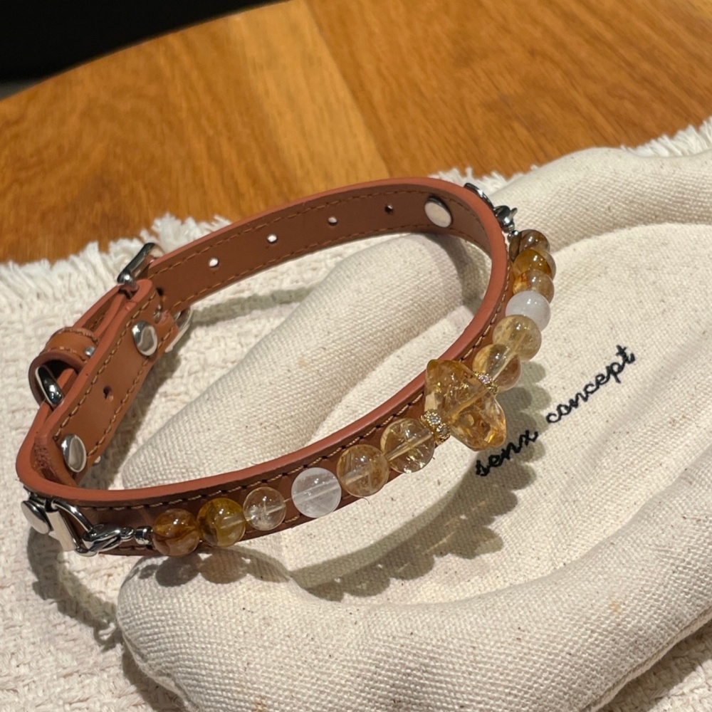 Golden Fortune Gem Pet Choker