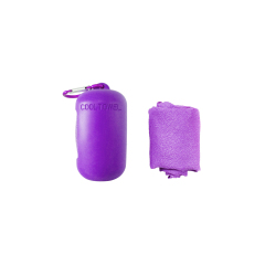 Portable Instant Dry Cooling Towel
