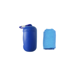 Portable Instant Dry Cooling Towel