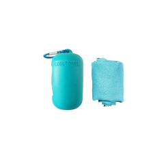 Portable Instant Dry Cooling Towel