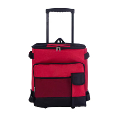 Large Rolling Cooler with High Capacity