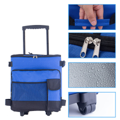 Large Rolling Cooler with High Capacity