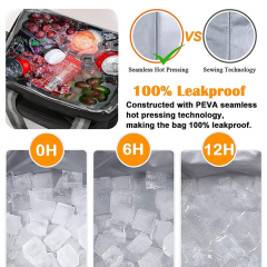 Insulated Lunch Tote with Shoulder Strap